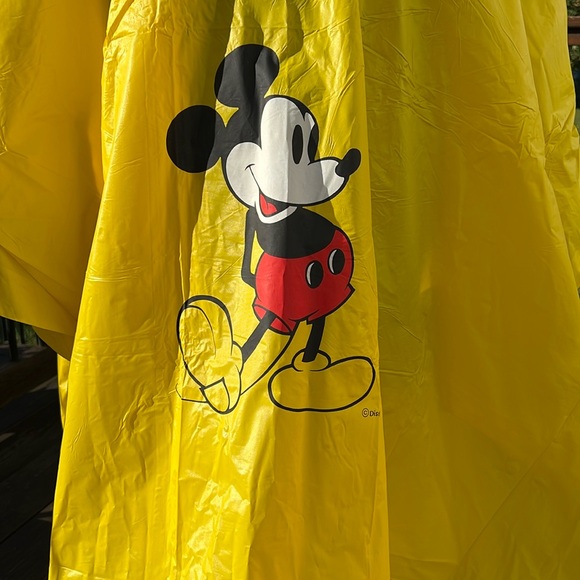 Disney Rain Poncho - Picture 1 of 8